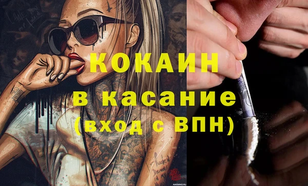 амф Гусев