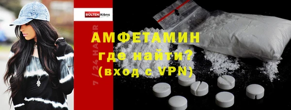 амф Гусев