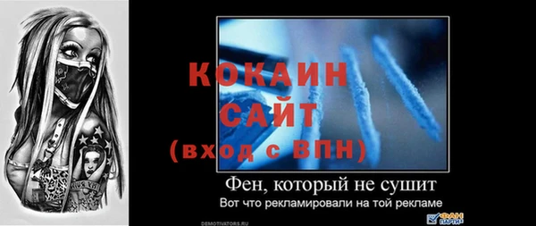 амф Гусев