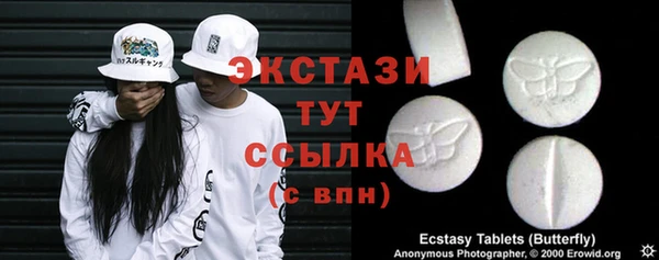 амф Гусев