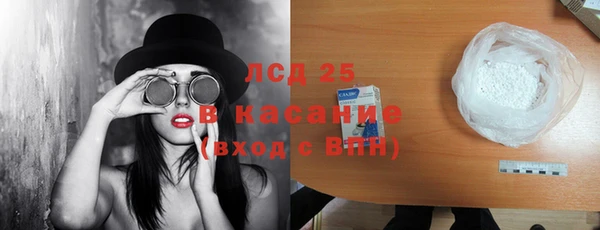 амф Гусев