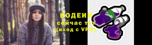 амф Гусев