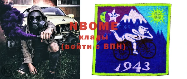 амф Гусев