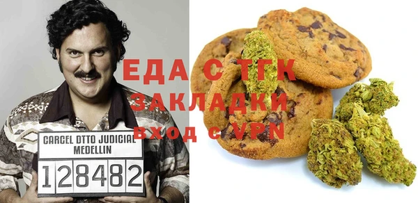 амф Гусев