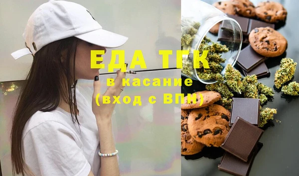 амф Гусев