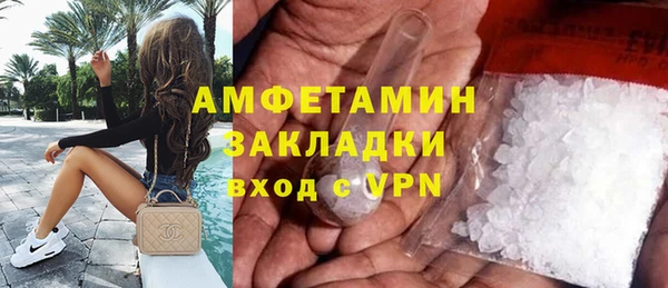 амф Гусев