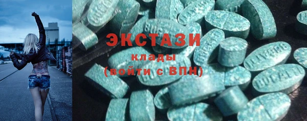 амф Гусев