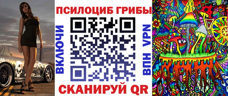 Псилоцибиновые грибы Cubensis  Купить закладки  Афипский 